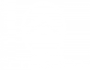 logo citroen blanc
